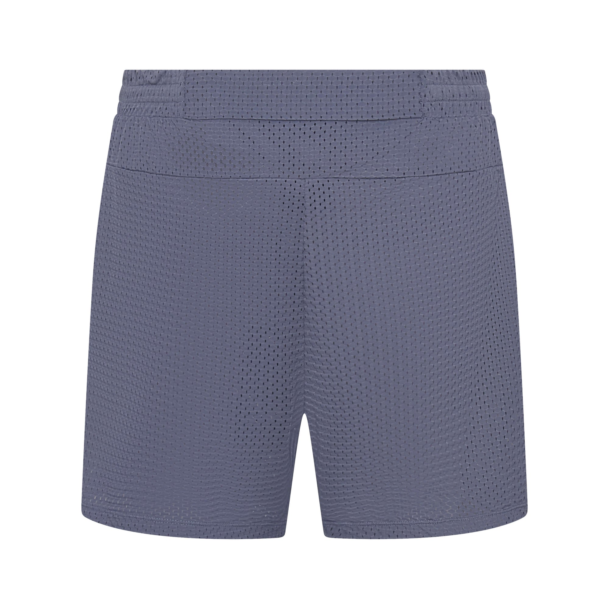 Wildcat 5" Mesh short